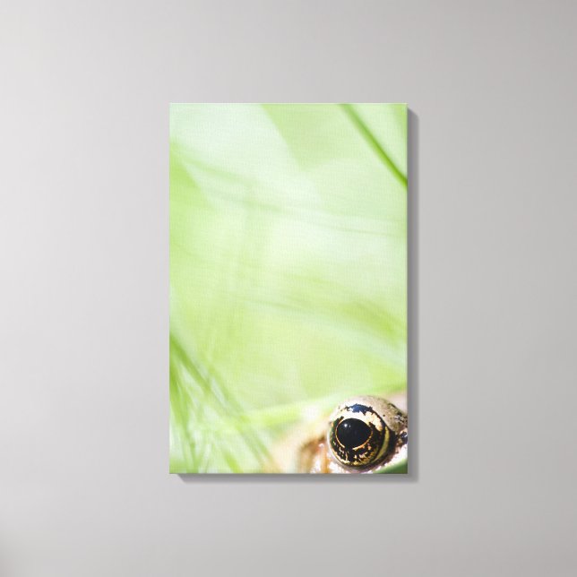 Washington, USA Canvas Print (Front)
