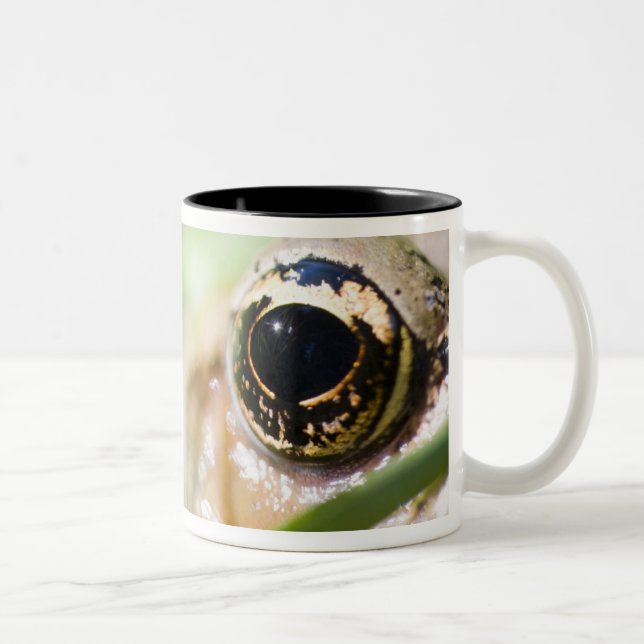 Washington, USA Two-Tone Coffee Mug (Right)