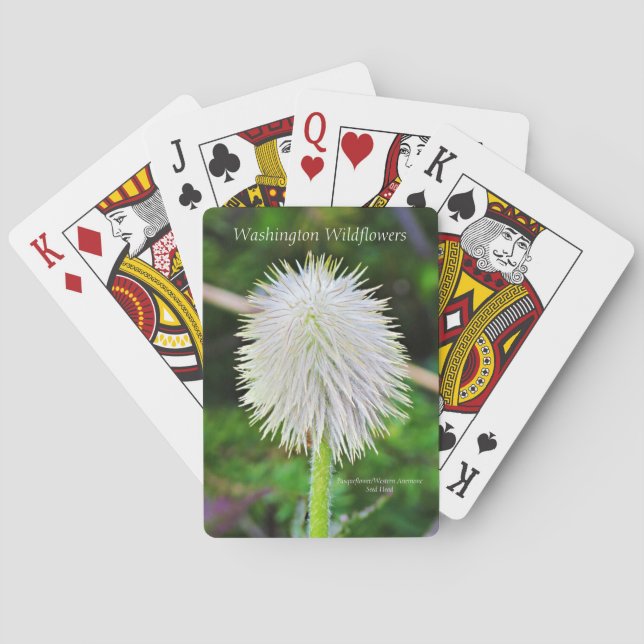 Washington Wildflower Pasqueflower White Seed Head Playing Cards (Back)