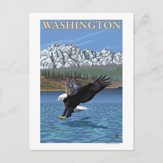 WashingtonDiving Eagle Postcard (Front)