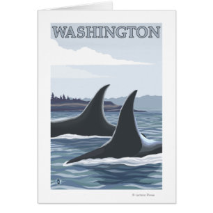 WashingtonOrca Fins