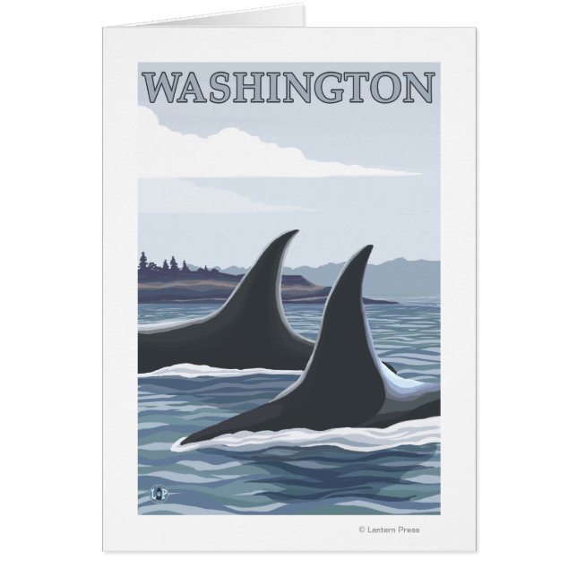 WashingtonOrca Fins (Front)