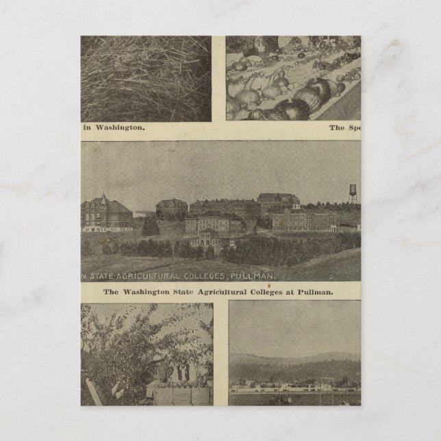 Washington's versatile thrift postcard (Front)