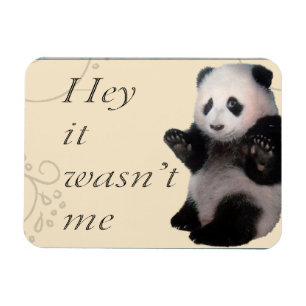 Wasn't Me Panda Magnet