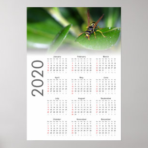 Wasp Calendar 2020 Poster