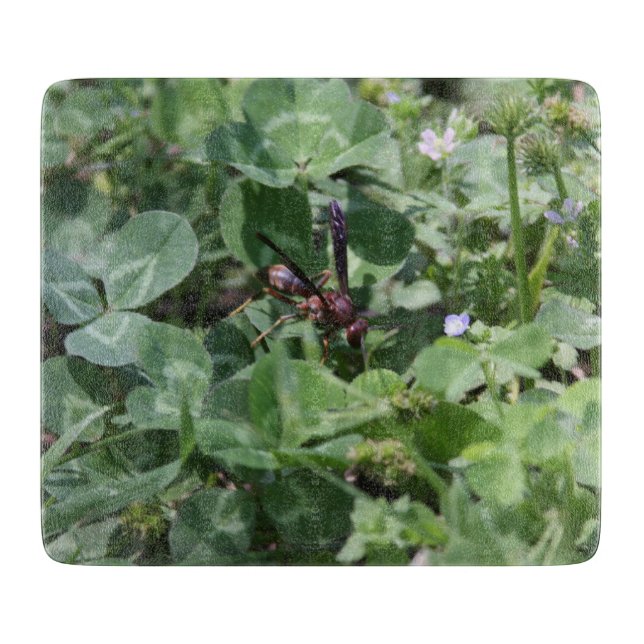 Wasp cutting board (Front)