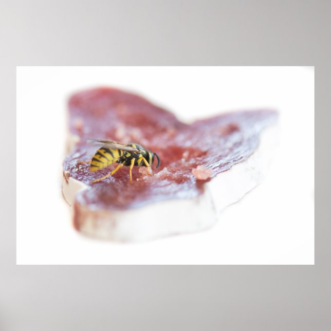 Wasp eating a sausage poster (Front)