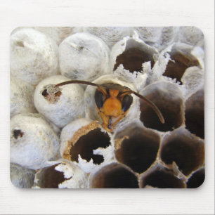 Wasp Emerging From Nest Mouse Mat