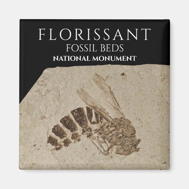 Wasp Fossil Florissant Fossil Beds National Monume Magnet (Front)