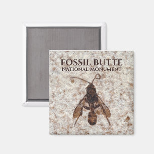 Wasp Fossil, Fossil Lake, Fossil Butte NM, Wyoming Magnet