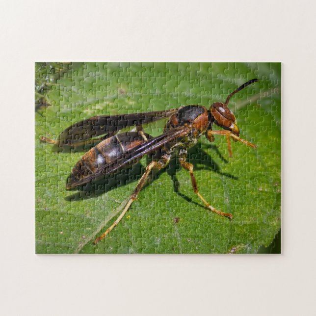 Wasp Jigsaw Puzzle (Horizontal)