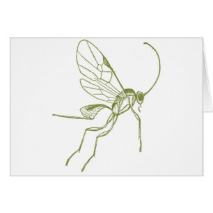 Wasp, Meteorus Hyphantria