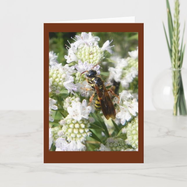 Wasp on Mountain Mint in Prairie Blank Note Card (Front)