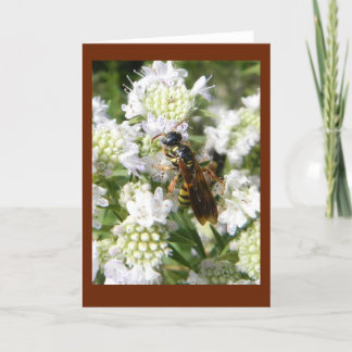 Wasp on Mountain Mint in Prairie Blank Note Card