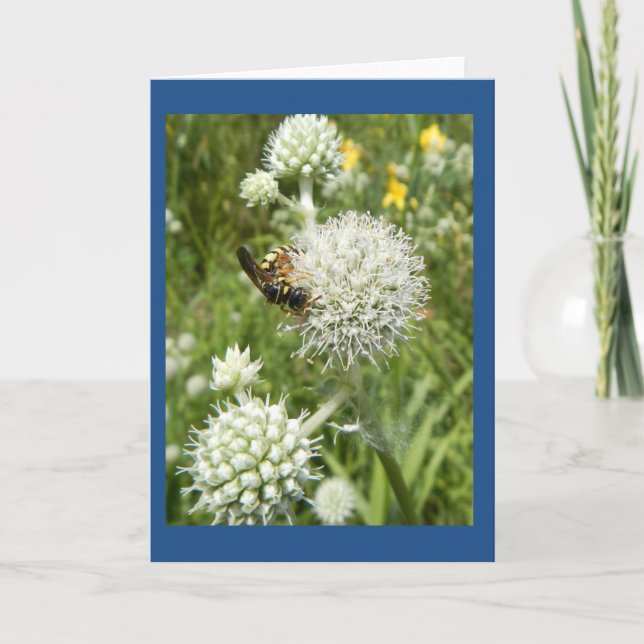 Wasp on Rattlesnake Master Blank Note Card (Front)