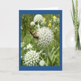 Wasp on Rattlesnake Master Blank Note Card