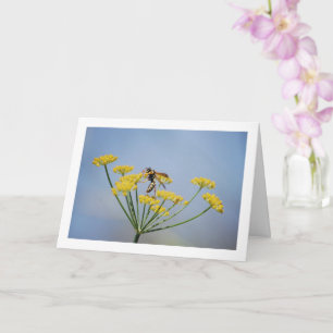 Wasp Pollinating Wild Fennel Portrait Card