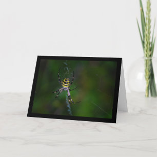 Wasp Spider, Orb-weaver Card