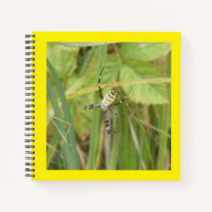 Wasp Spider Photography Square Notebook
