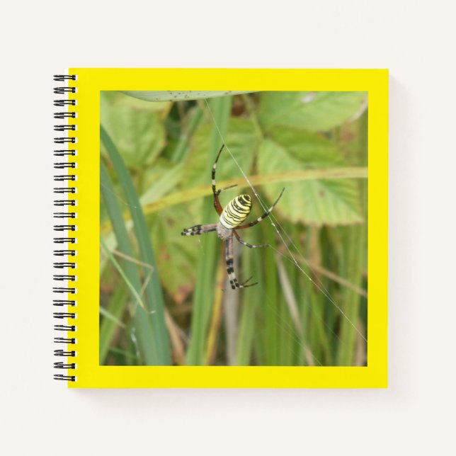 Wasp Spider Photography Square Notebook (Front)