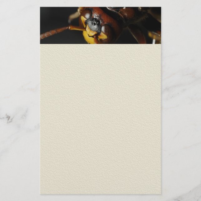 Wasp Stationery (Front)