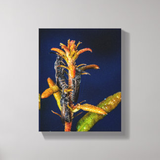 Wasps on Oak Canvas Print