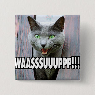 WASSUP - Cat Meme 15 Cm Square Badge