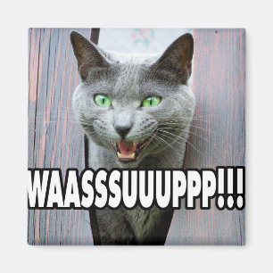 WASSUP - Cat Meme Magnet