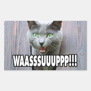 WASSUP - Cat Meme Rectangular Sticker