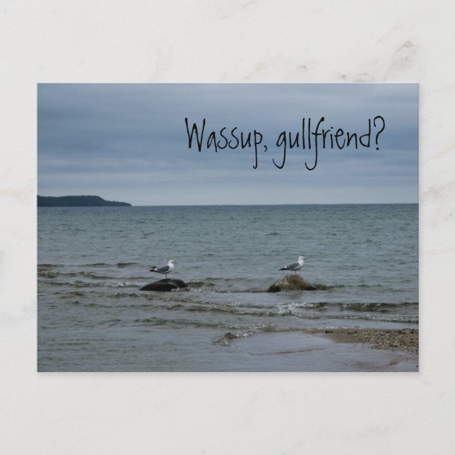 Wassup, gullfriend? postcard (Front)