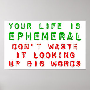 Waste Life Looking For Big Words Funny Poster