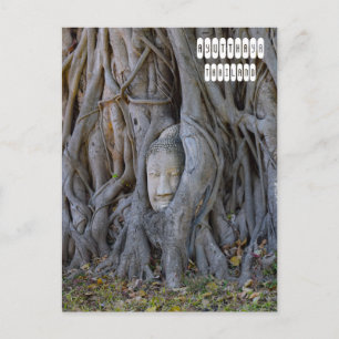 Wat Mahathat Buddha Head Postcard
