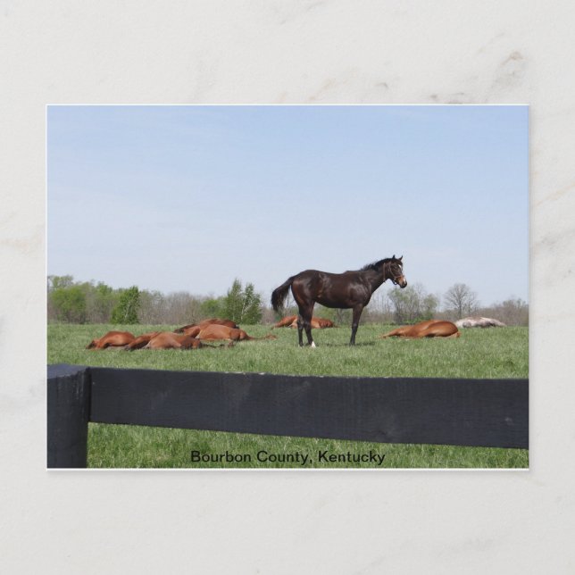 Watch Duty Postcard (Front)