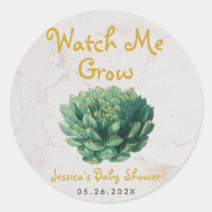 Watch Me Grow Baby Shower Botanical Succulent Classic Round Sticker