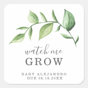 Watch Me Grow Rustic Elegant Greenery Baby Shower Square Sticker