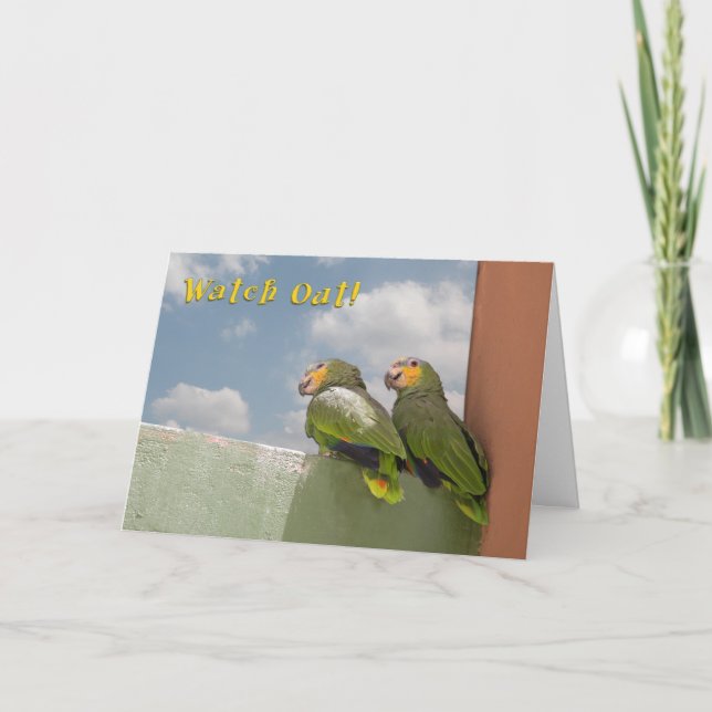 Watch Out Birthday Card (Front)