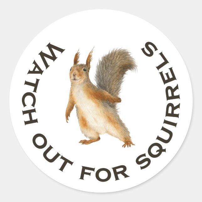 Watch Out for Squirrels Funny Brown Squirrel  Classic Round Sticker (Front)