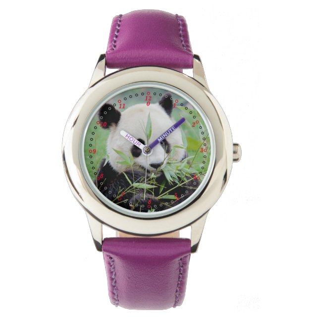 Watch Photo giant panda , animals 0383. (Front)