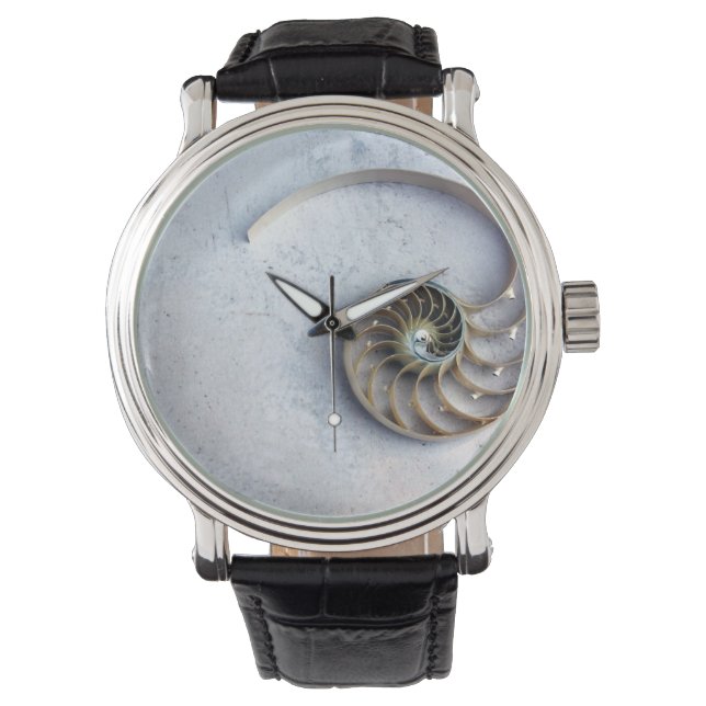 Watch seashell nautilus shell (Front)