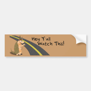 Watch This! Armadillo bumper sticker
