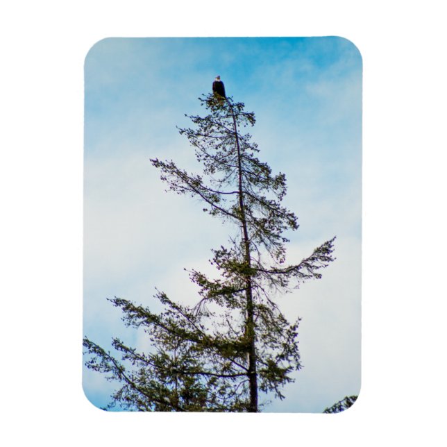 Watch Tower Magnet (Vertical)