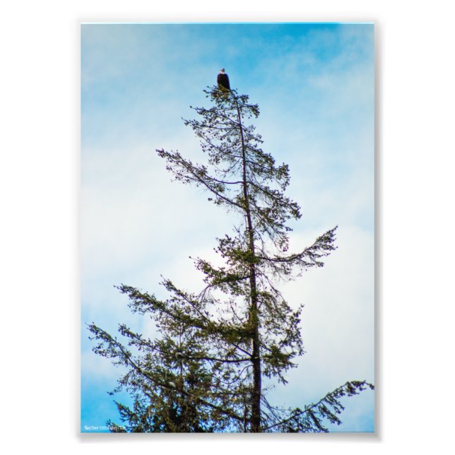 Watch Tower Photo Print (Front)