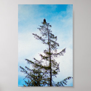 Watch Tower Poster