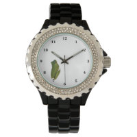Watch with Tiny Tree Frog