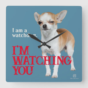 Watchdog Chihuahua - Customisable Square Wall Clock