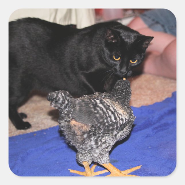 Watchers Square Sticker (Front)