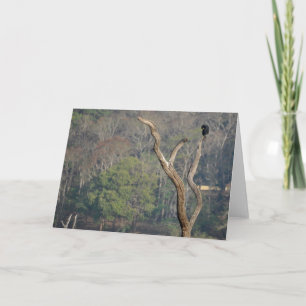 Watchful Eyes Card