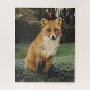Watchful Fox Puzzle