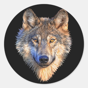 Watchful Wolf Classic Round Sticker