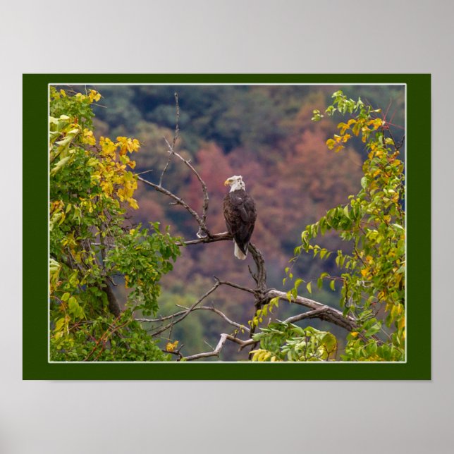 Watching Autumn Poster (Front)